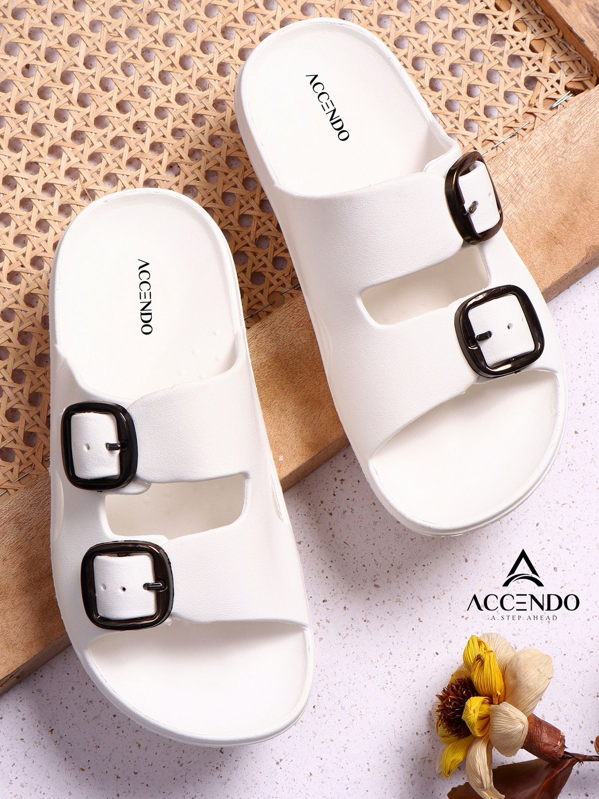 Traditional Slides
